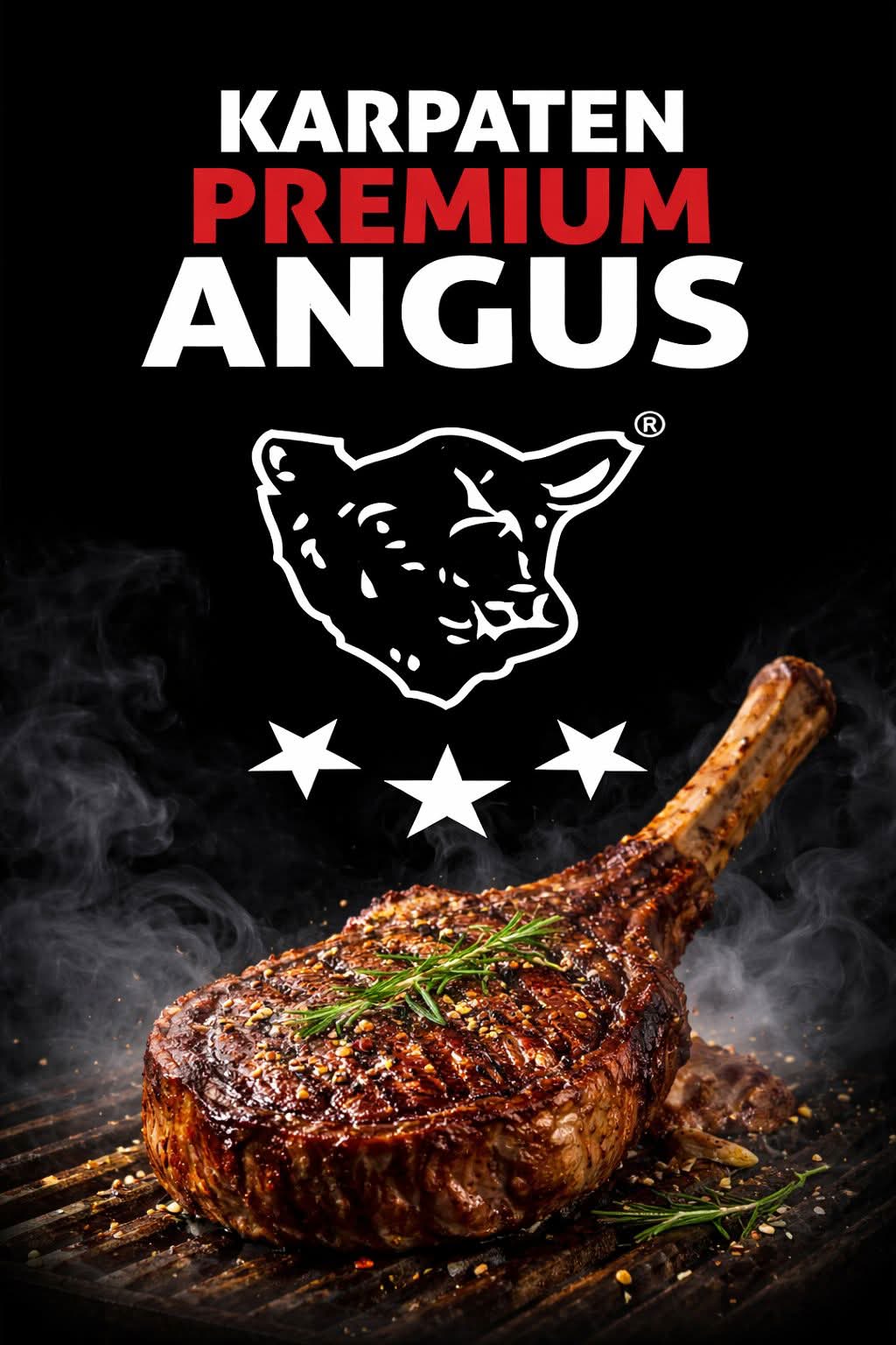 Promotional Banner